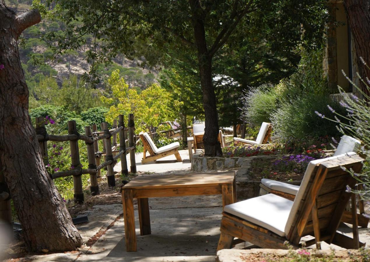 Blue Jay Valley Jezzîne Екстериор снимка