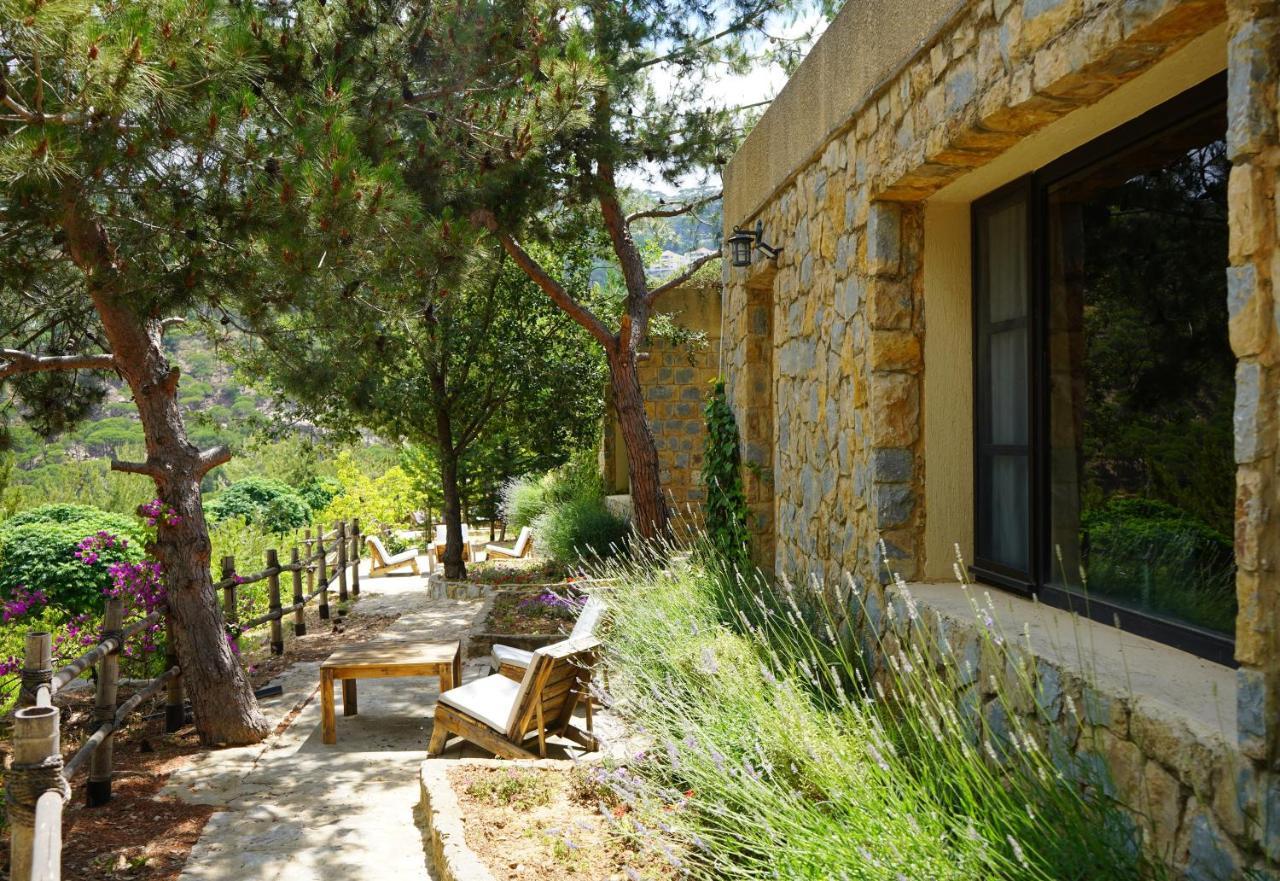 Blue Jay Valley Jezzîne Екстериор снимка