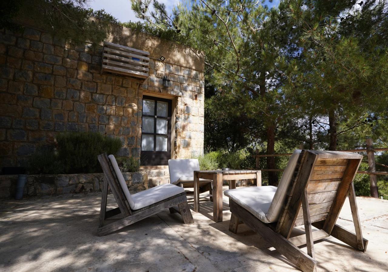 Blue Jay Valley Jezzîne Екстериор снимка