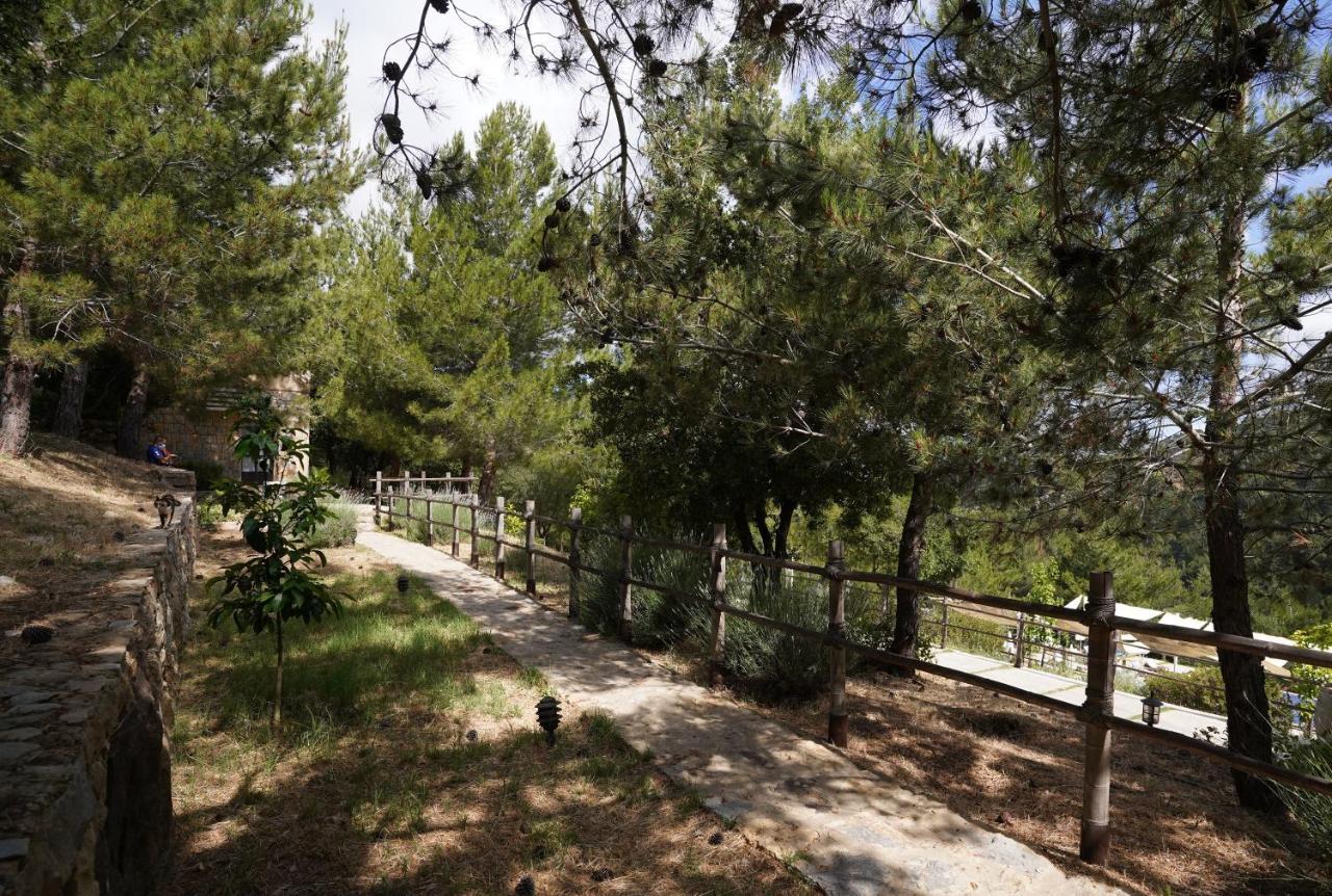 Blue Jay Valley Jezzîne Екстериор снимка