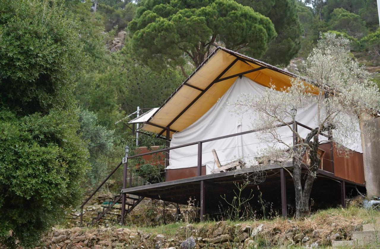 Blue Jay Valley Jezzîne Екстериор снимка